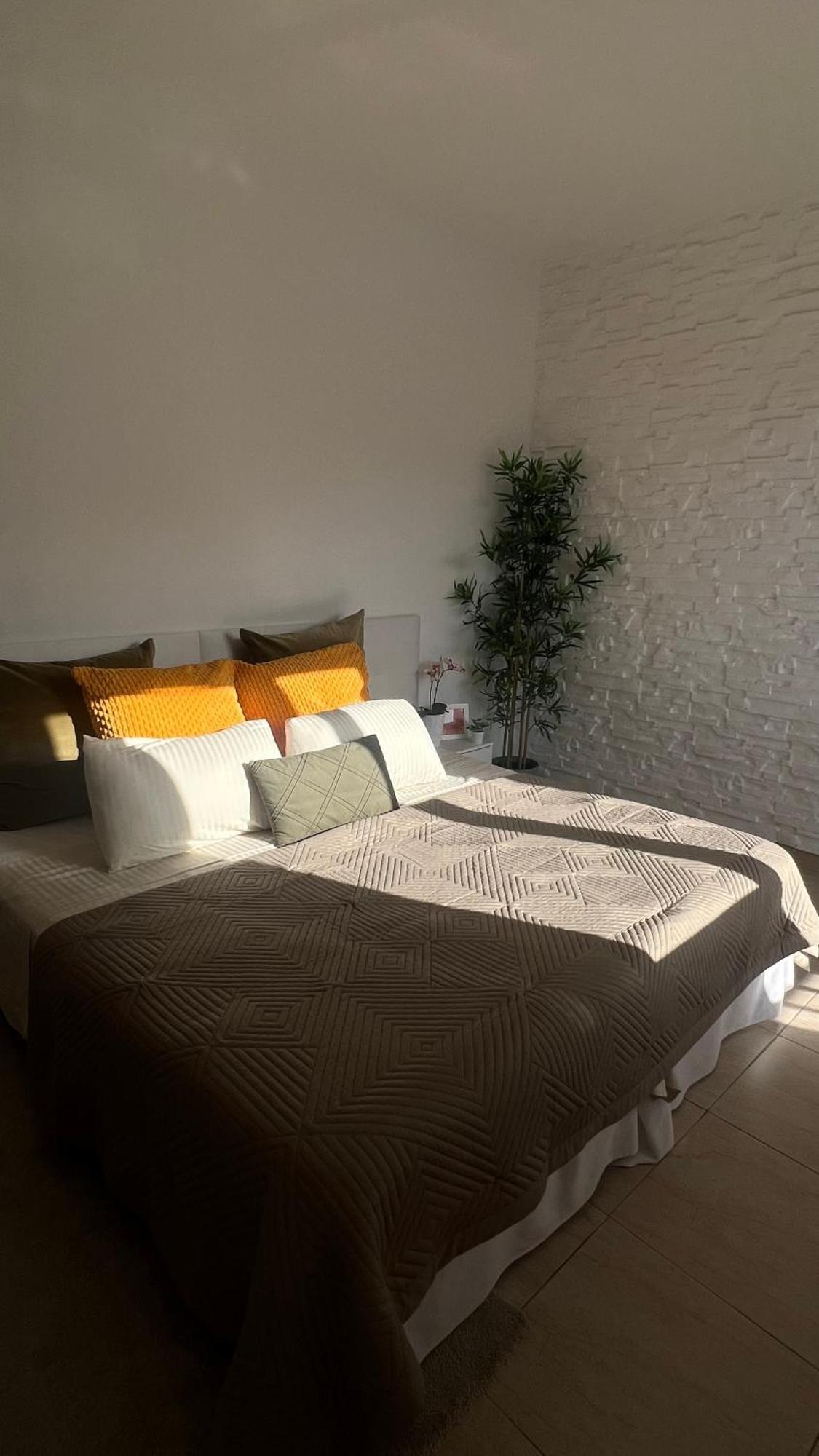 Tenerife Te Espera! Lägenhet Icod De Los Vinos Exteriör bild